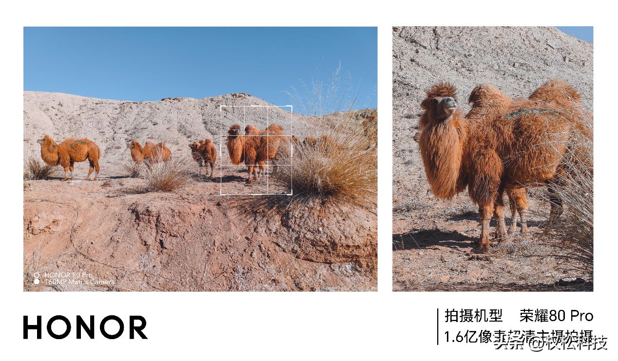 AI影像识别,ai影像拍照手机