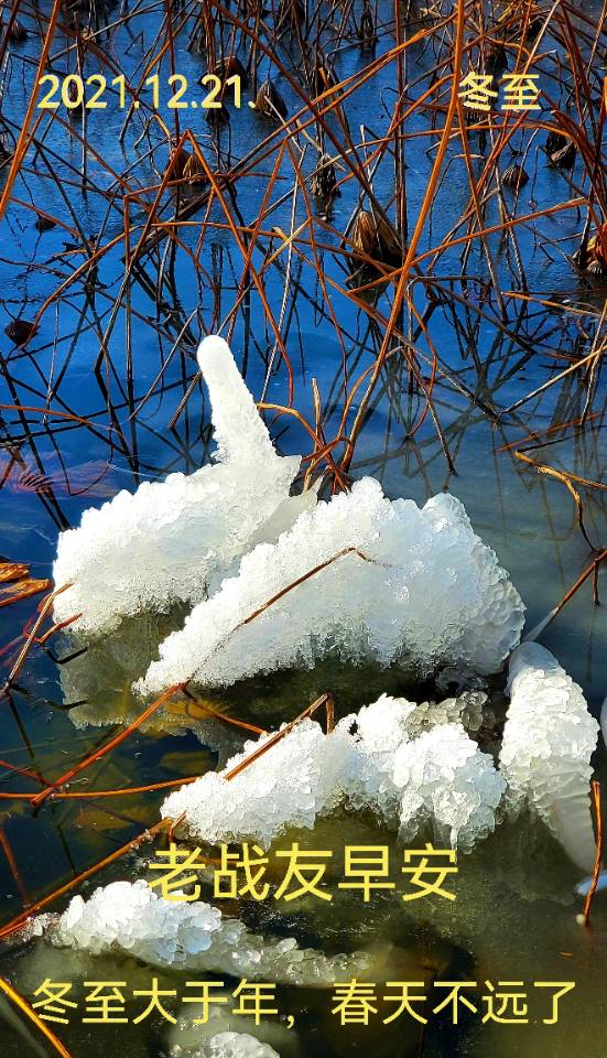 「战友美文」女作家张雪梅长篇小说《曾是女兵》（连载10）