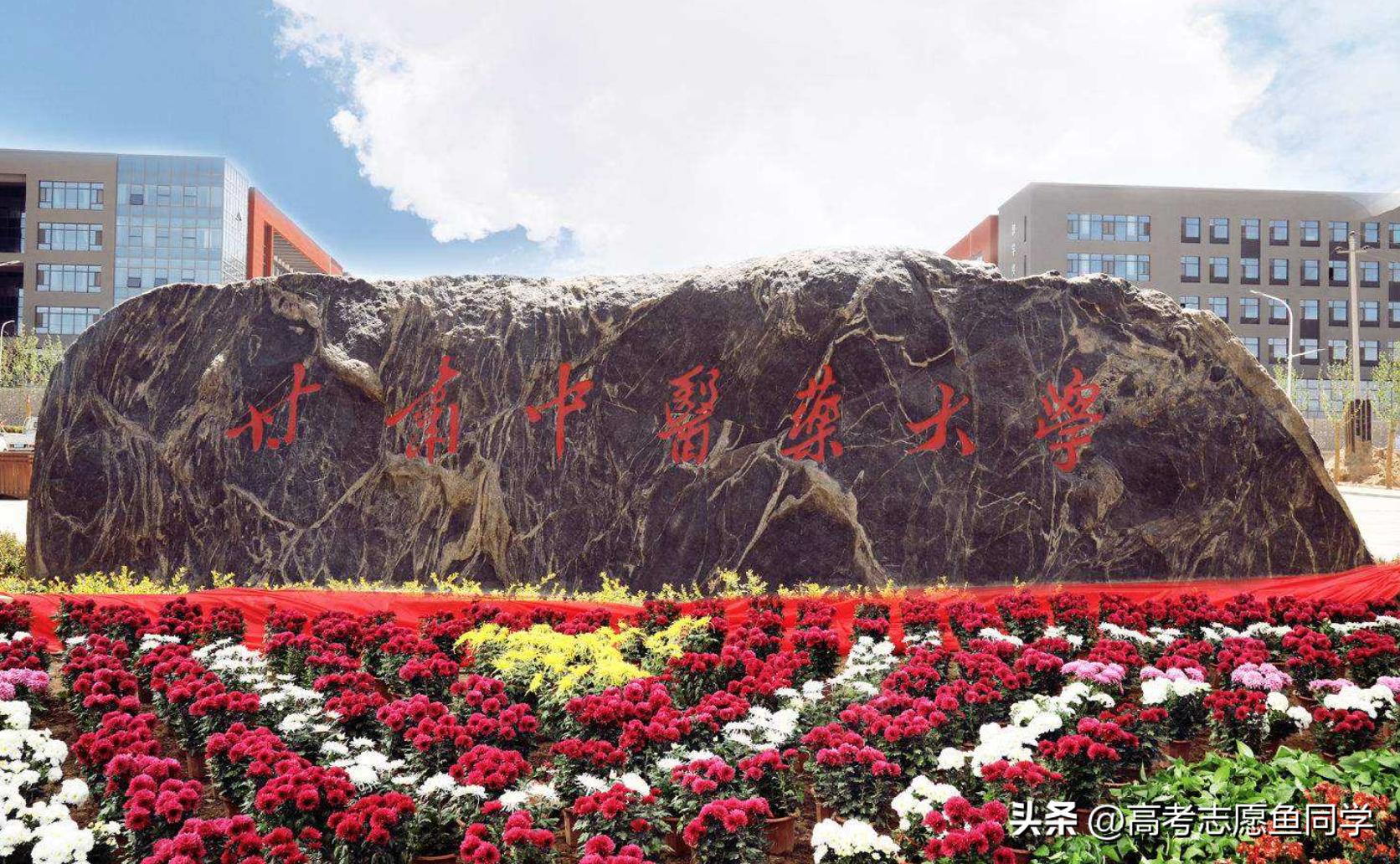 国内8所“中医药”大学，地区实力一流也好就业，文科生也能报考