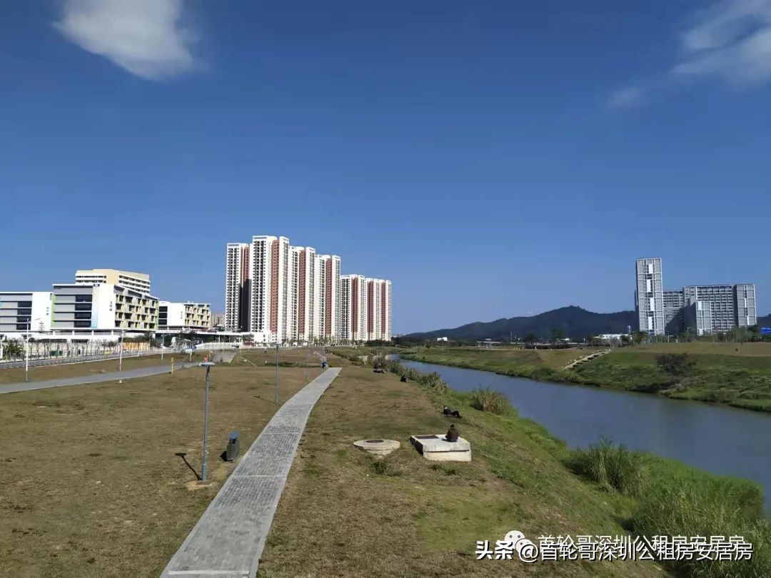 1.9万户认租，坪河雅苑等762套市级公租房认租名单公布