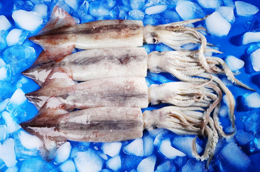 鎶ュ悕鎶栭煶鐢靛晢娲诲姩,鎶ュ悕鎶栭煶鐢靛晢瀹樻柟娲诲姩濂藉