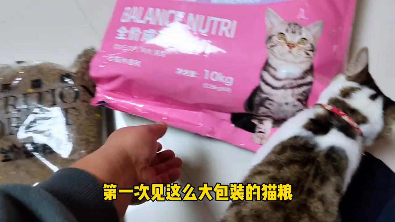 麦富迪营养森林含肉量,麦富迪营养森林和黑森林