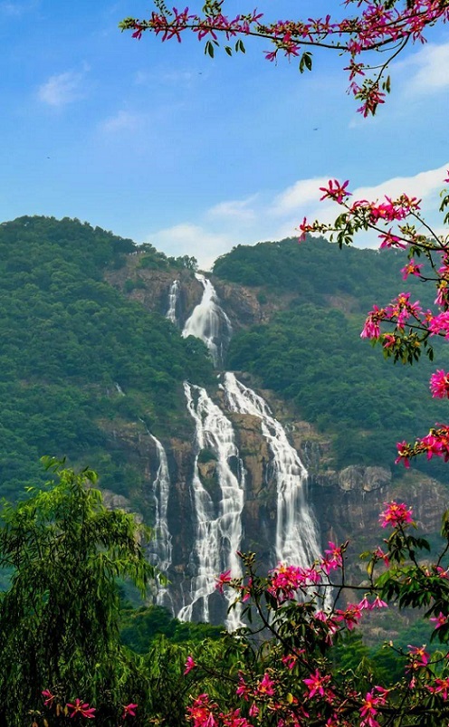 广州游玩必去十大景点推荐,广州旅游必去十大景点排名攻略