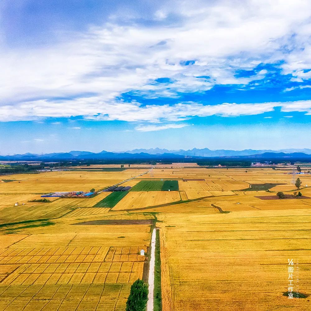物种进化和系统升级,物种重塑