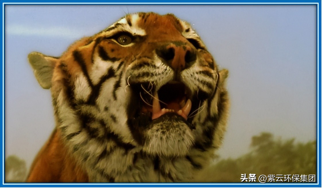 怎么让足球踢出去再回来,如何让足球冲进世界杯里面