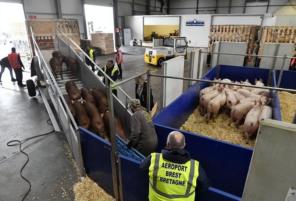 中法签下大单后欧盟内部的反应,中法签下巨额订单