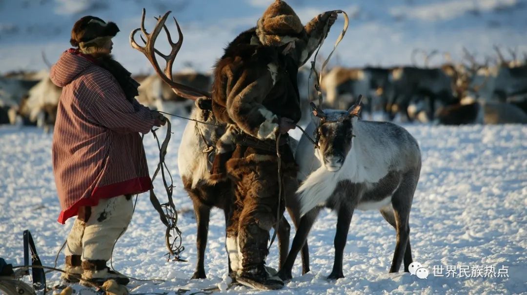 俄罗斯远东土著民族,俄罗斯少数民族人口