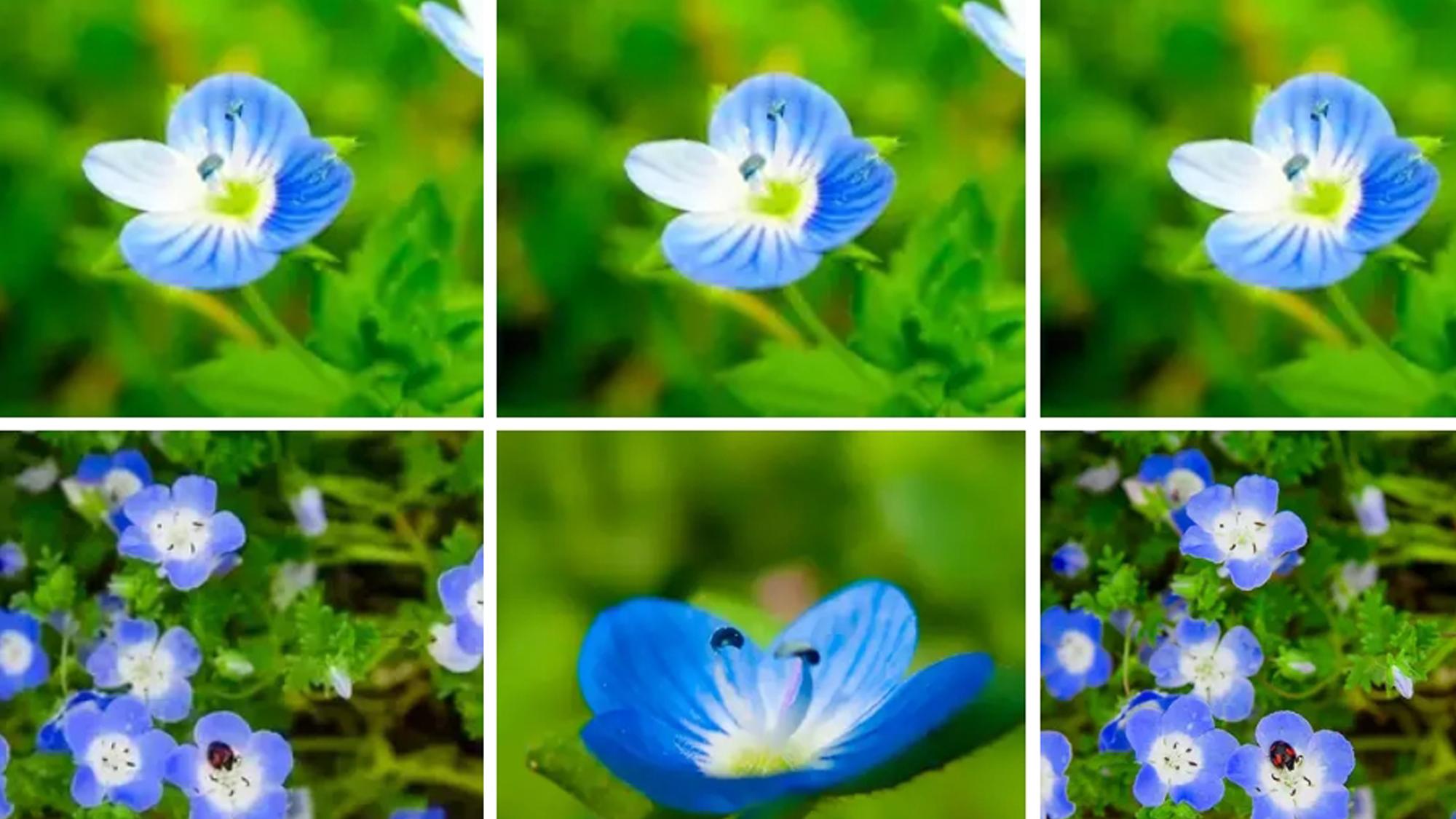 可以分享你相册里的风景吗,可以分享你照片里的美景吗