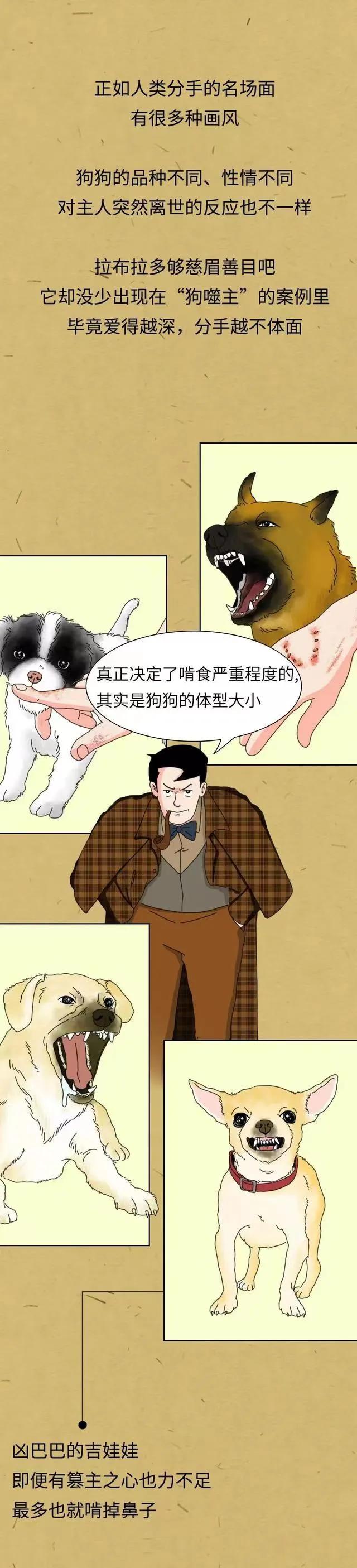 漫画：“铲屎官如果突然挂了，狗狗会等多久吃掉尸体？”网友神评