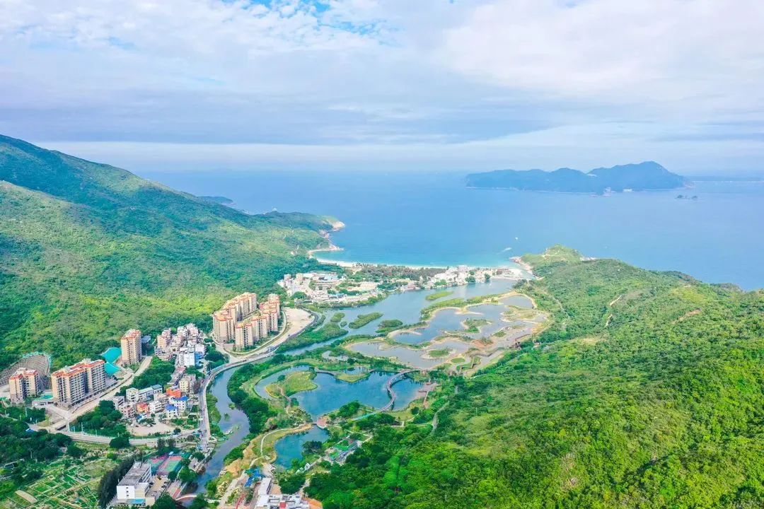 深圳最全红树林公园指南,深圳市最出名红树林湿地公园