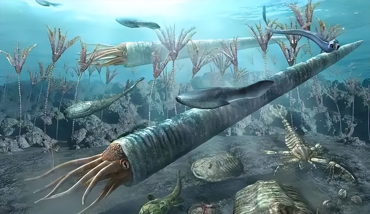 拥有三颗心脏、九个脑袋，章鱼为何沦落成了烧烤摊美味担当？