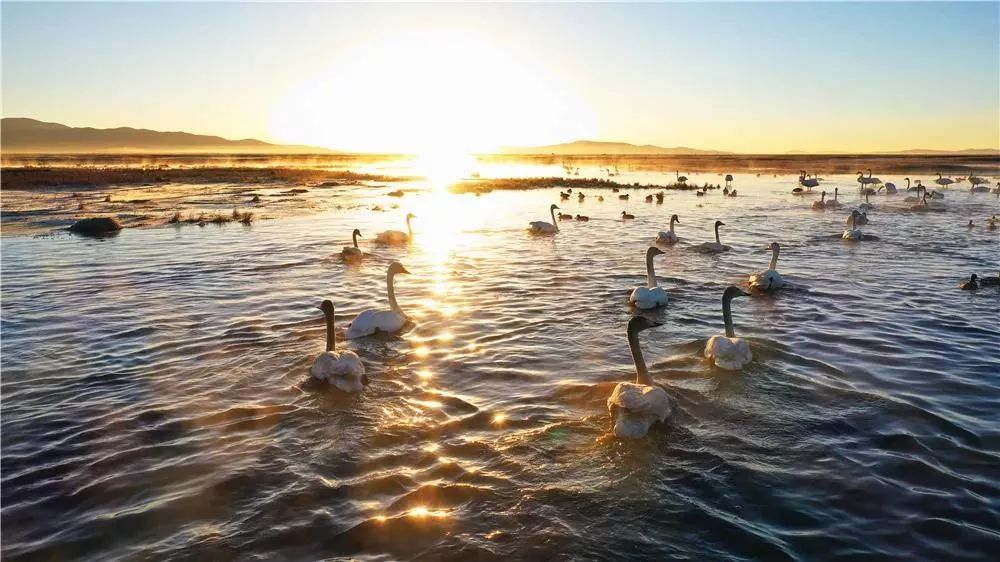 川西阿坝旅游详细攻略地图,川西阿坝旅游攻略三天