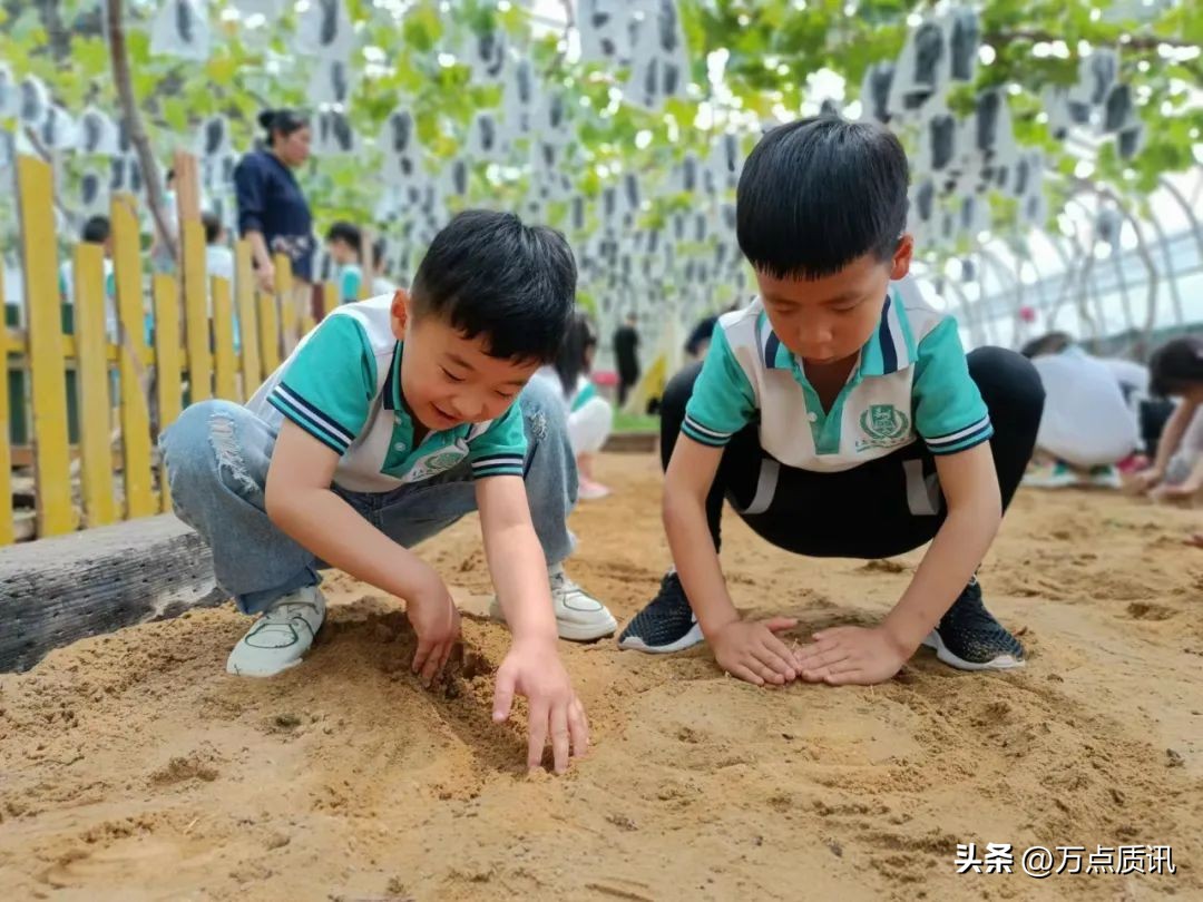 展才艺、练市场、摘葡萄、看电影…幼儿园“六一”主题周精彩回眸