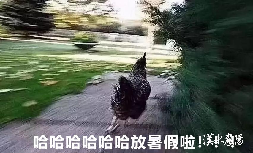 200个名额！暑假“官方带娃”，快去薅！