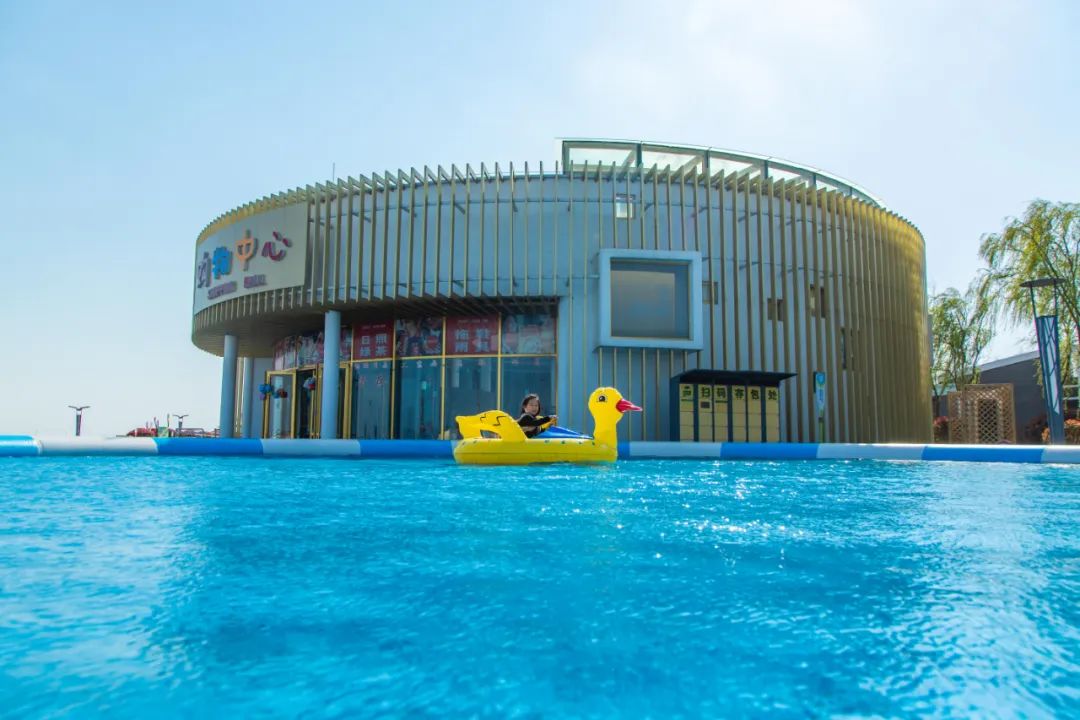 日照网友评价,日照博主评论区