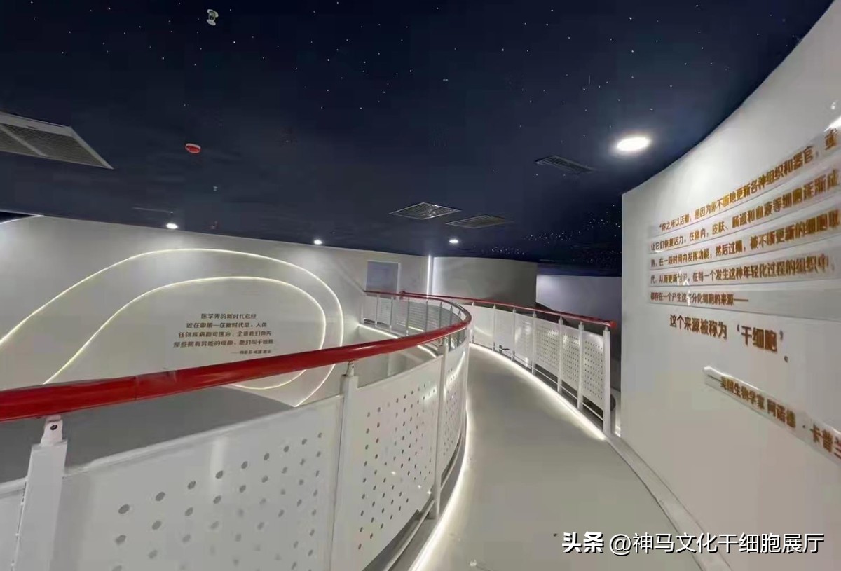 干细胞展厅生命科学馆案例展示,干细胞全息投影展厅