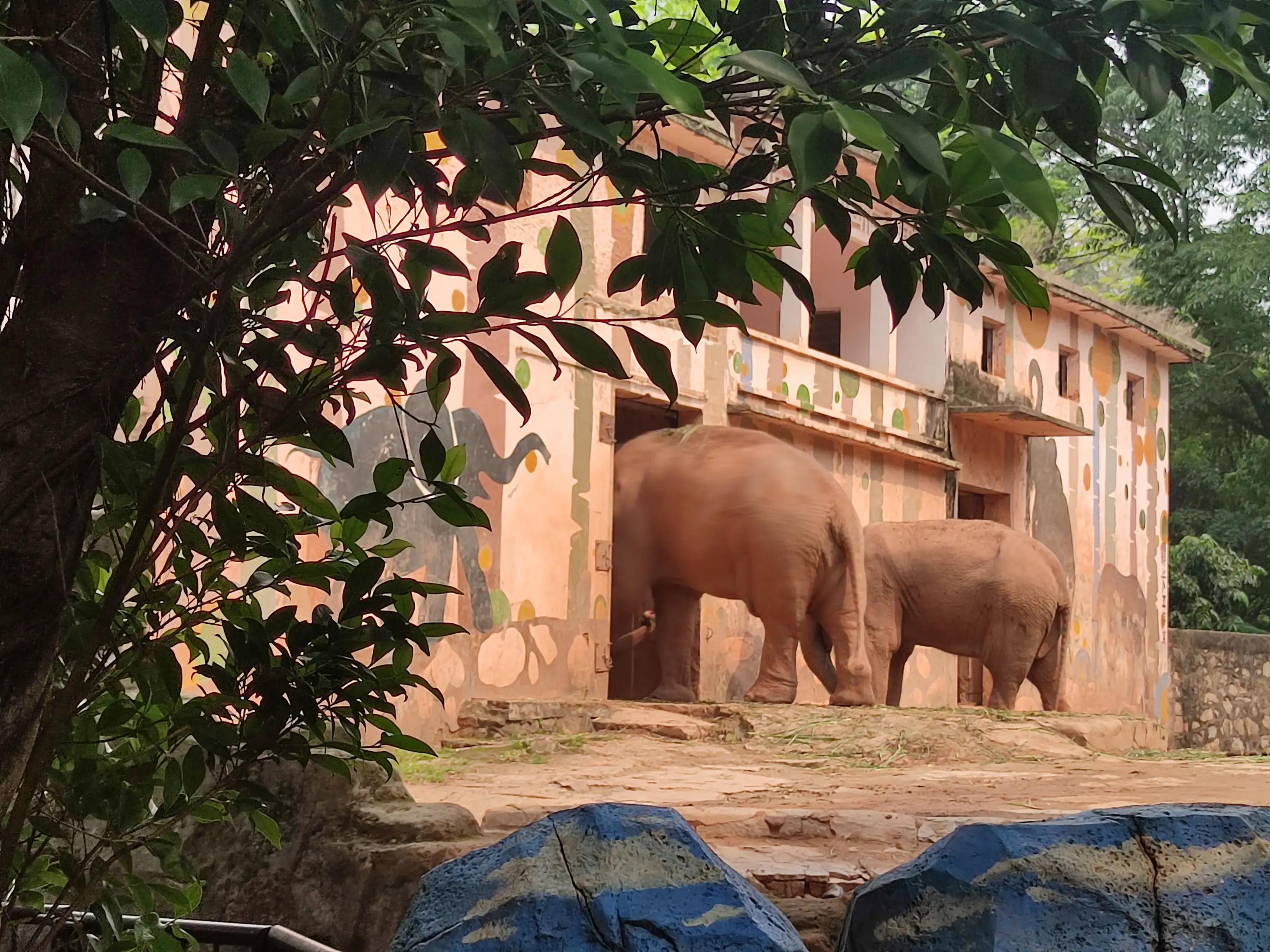 朋友圈结婚文案高级感,朋友圈结婚文案