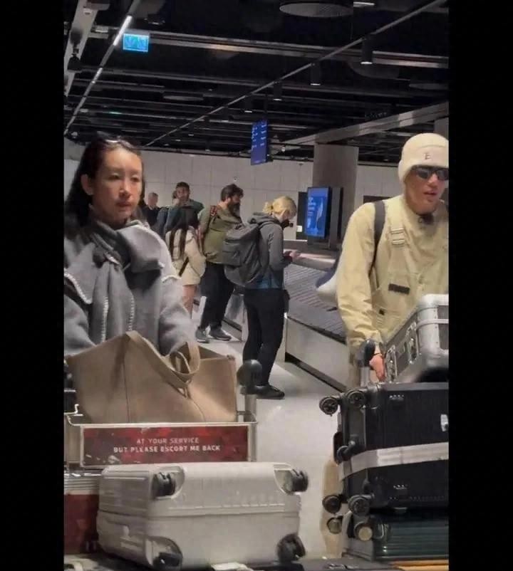 秦海璐现场照片,秦海璐最新路透