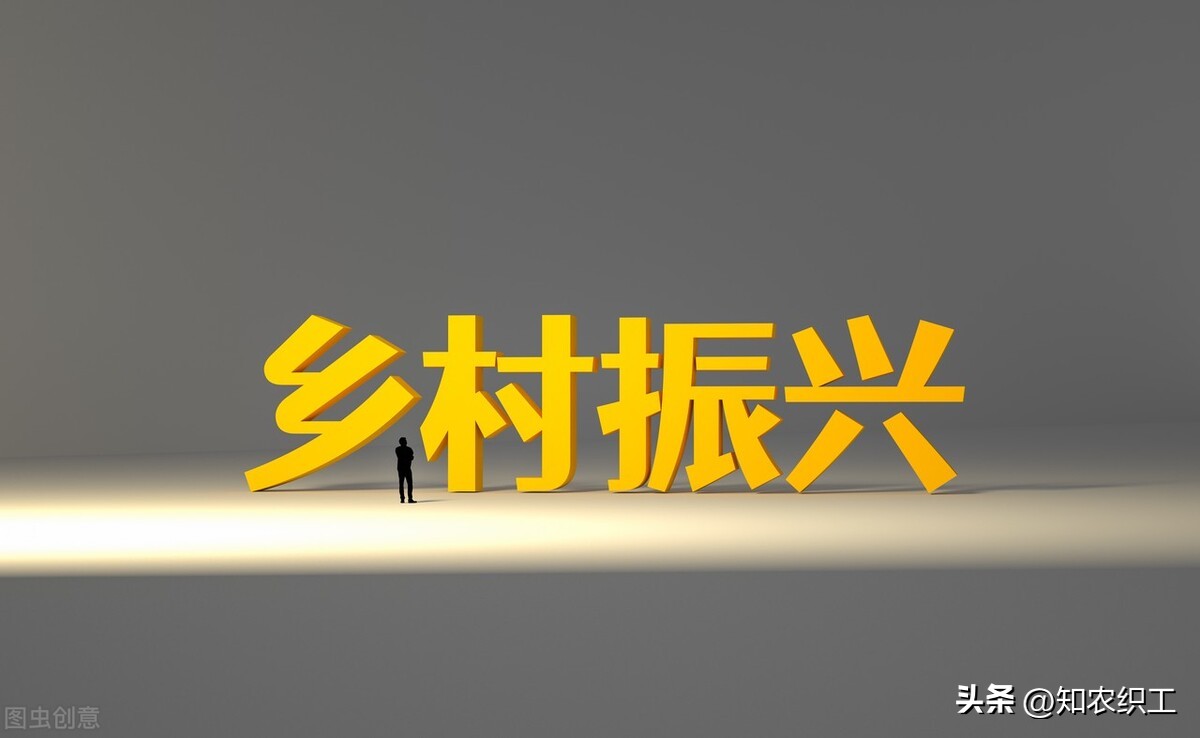 乡村振兴短视频,乡村振兴具体思路及做法