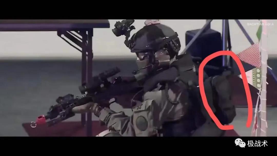 虎年说虎科普视频,虎年说虎运用了哪些说明方法