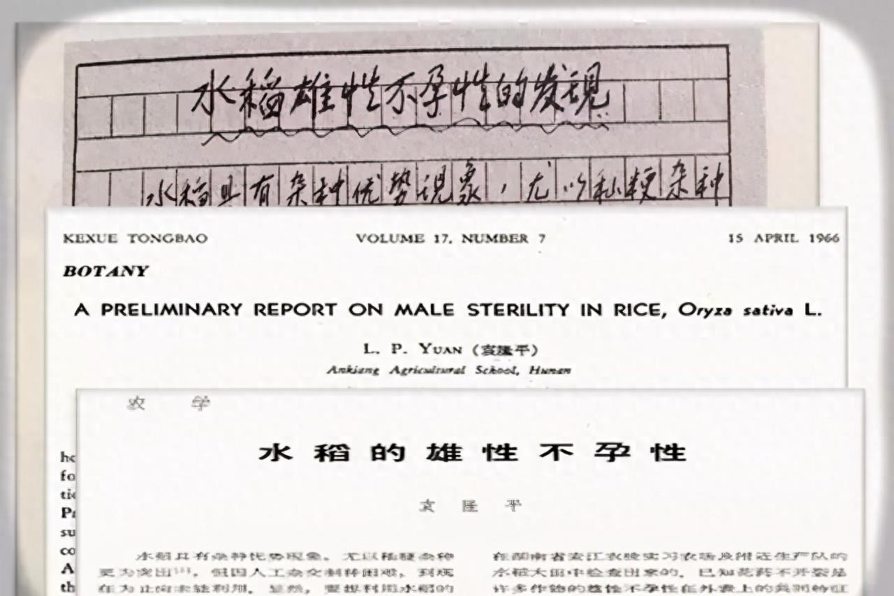 历史上能称得上国士无双的政治家,中国的国士无双有哪些人