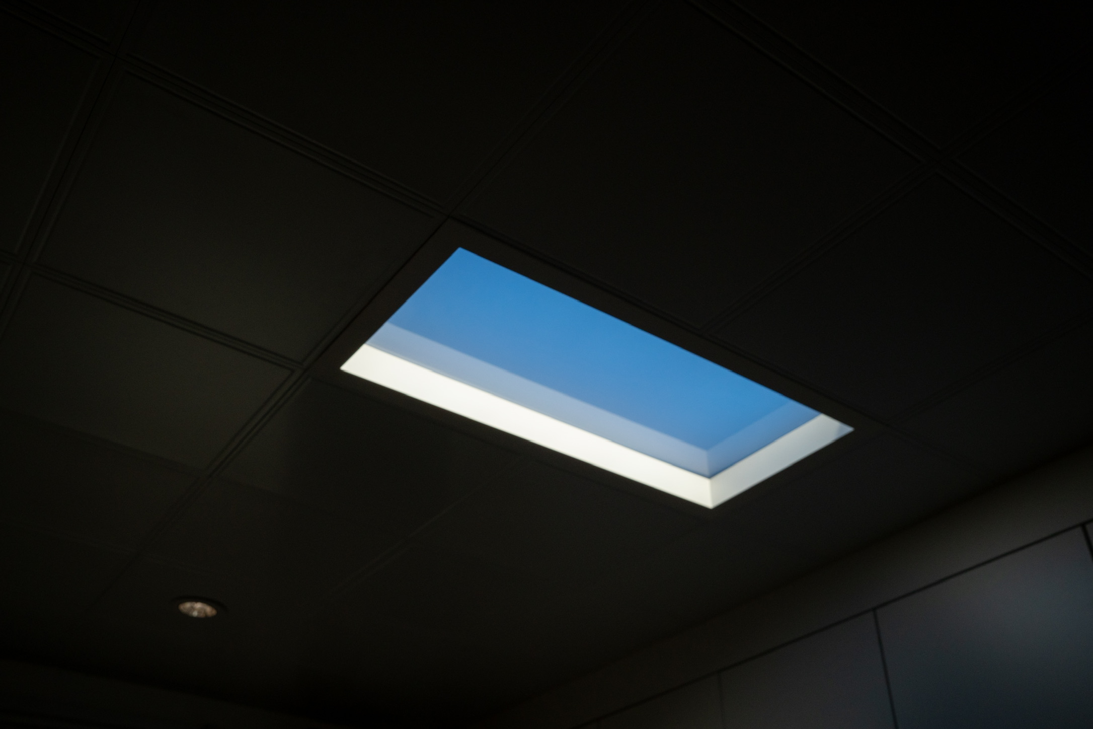 低楼层家里暗怎么解决,低楼层采光神器