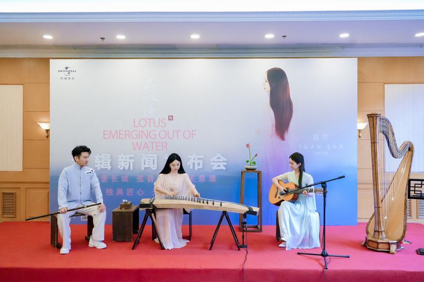 古筝演奏家袁莎的作品,古筝名家袁莎演奏的歌曲大全