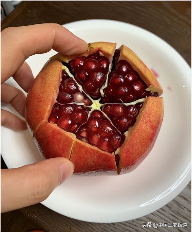 中秋节终极拷问：为什么没有“报恩”的无籽石榴？