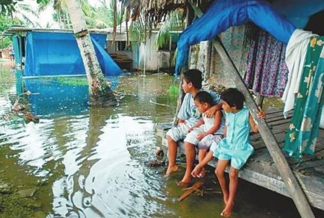 极端高温,灾难的开始…该如何拯救