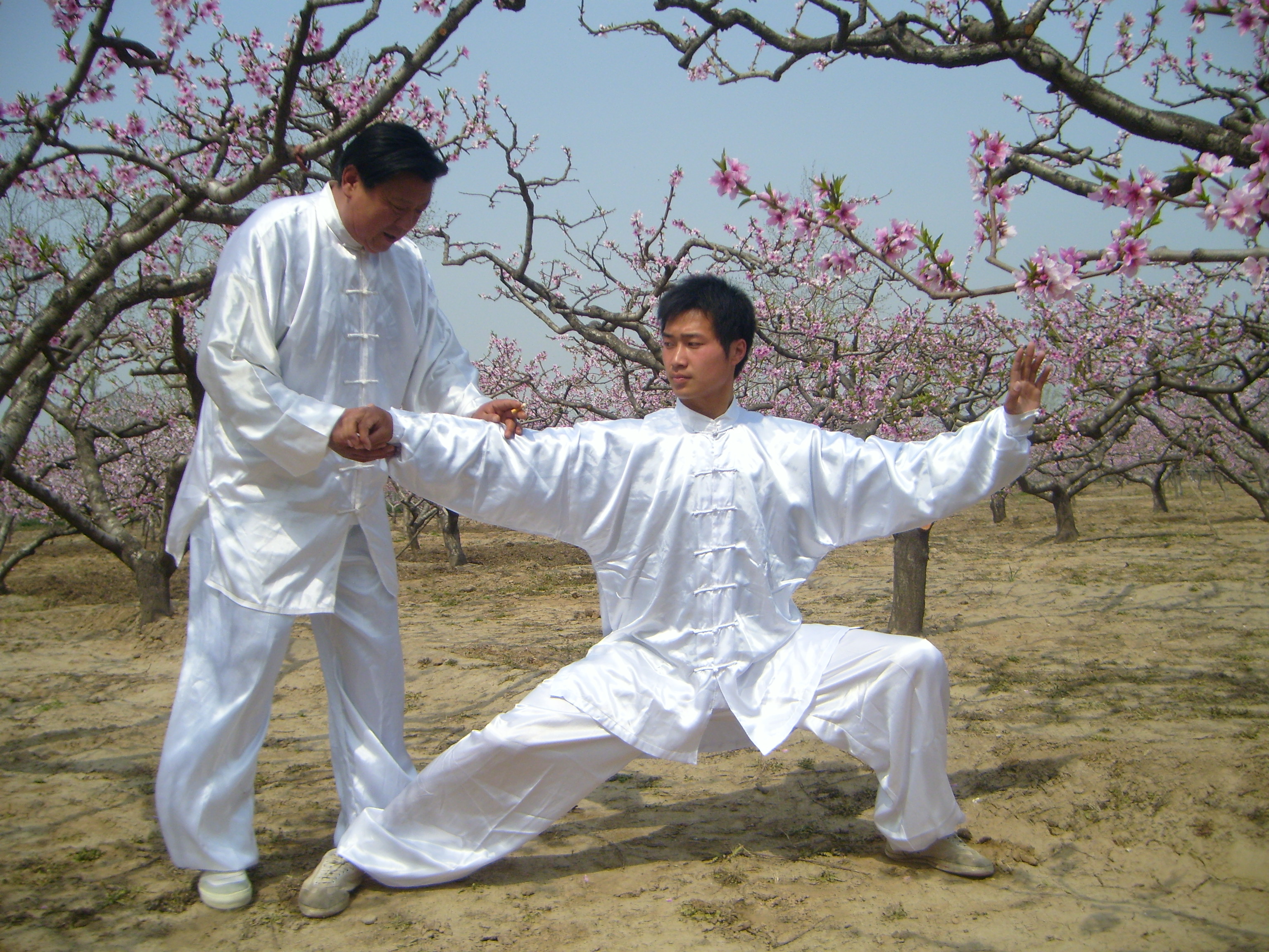 太极拳创始人大揭秘,朱老虎太极拳馆在哪里