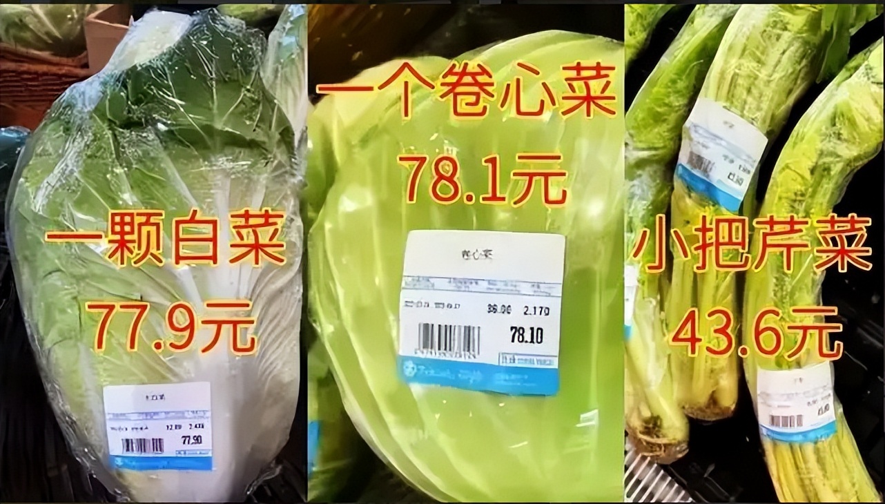 张珊珊注册了陕西多少家核酸公司,张珊珊在全国注册35家核酸公司