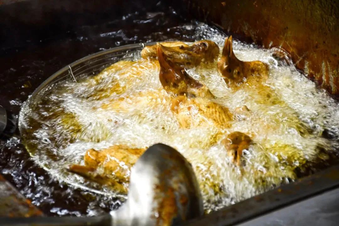 春节来光明“桥”见1958，寻找光明记忆