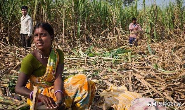 19年记者收集一大证据，揭露印度女性为满足老板，全部被“阉割”