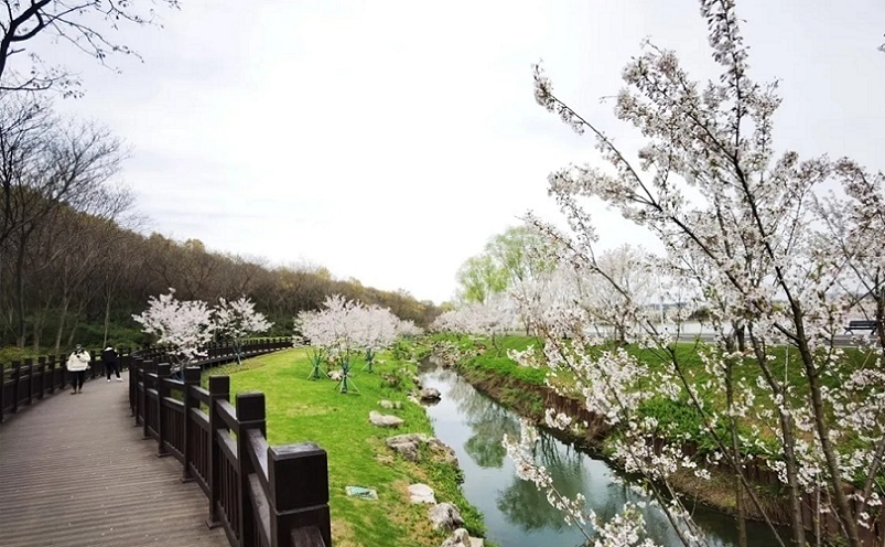 12月南京有哪些免费景点,南京市民免费旅游景点