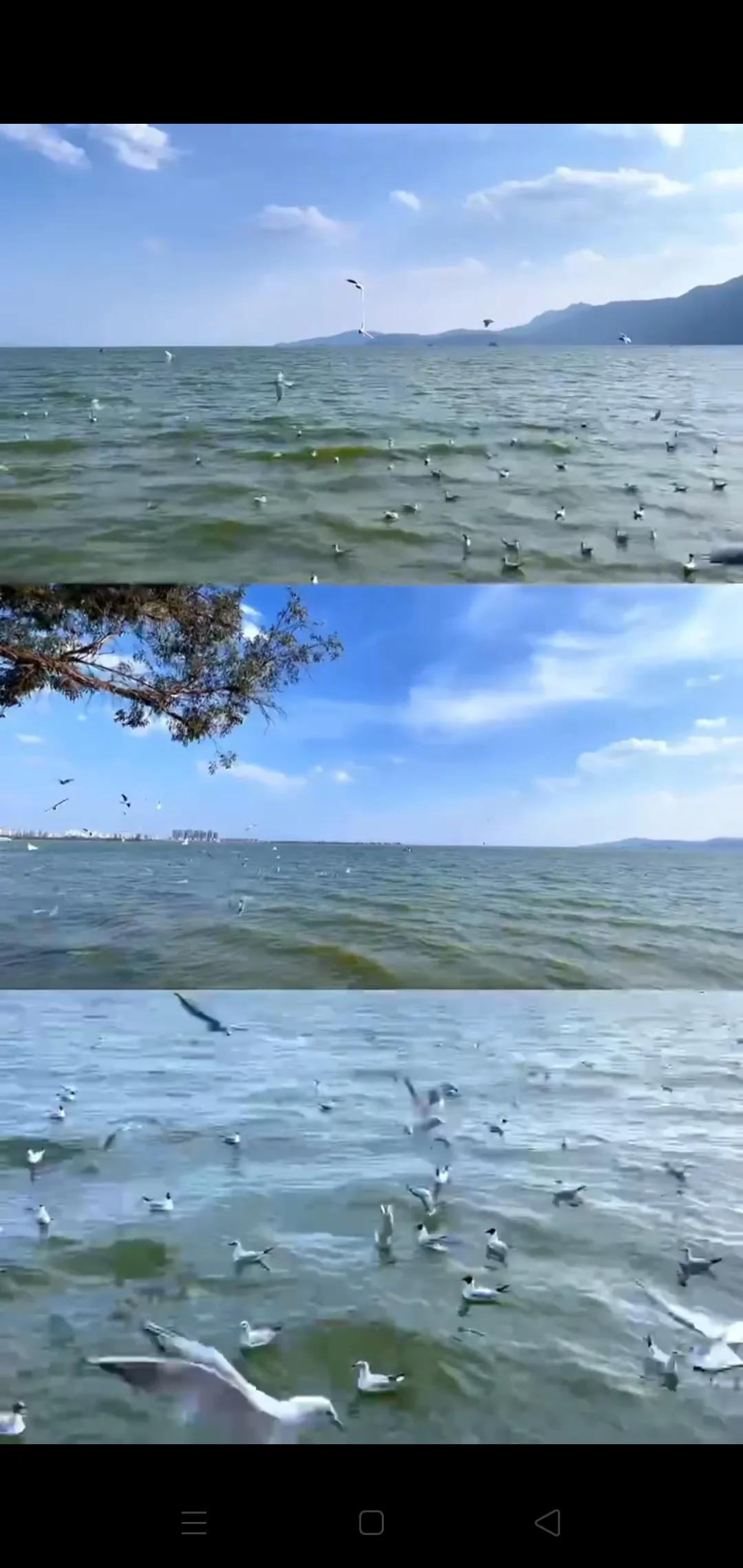 大理之行完整版,大理之行之民族服饰