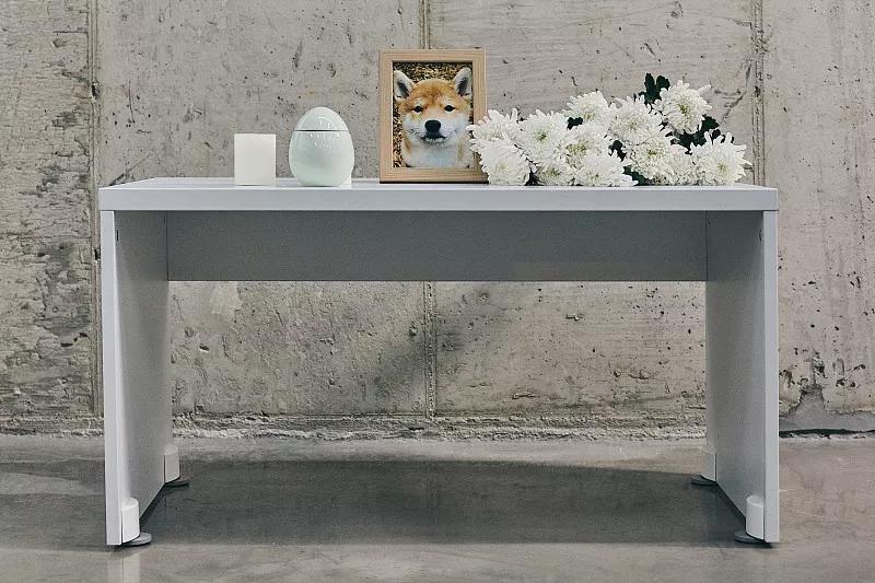 宠物基础服务包括什么服务,宠物服务包括哪些内容呢