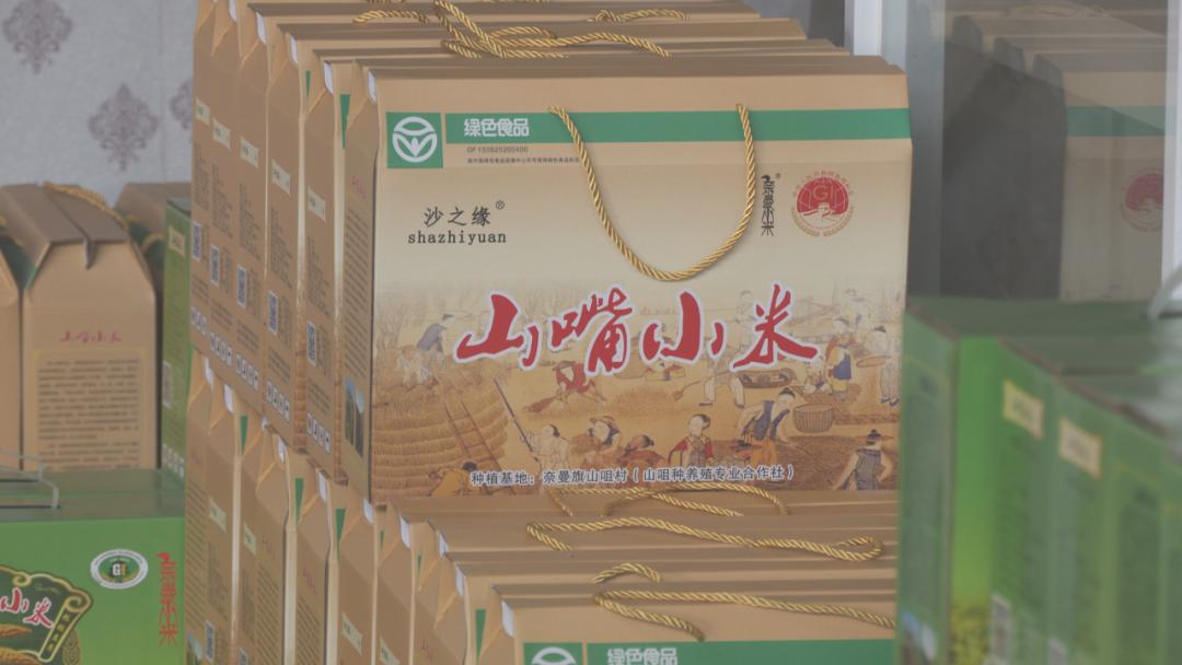 辛巴开启直播带岗招聘新模式，通辽：奈曼山嘴小米直播专场启动