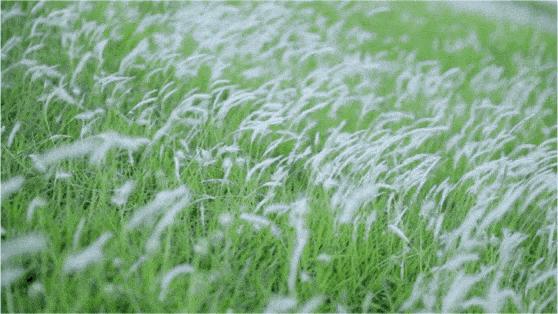 深圳10个小众打卡地免费游玩,深圳十大免费打卡地