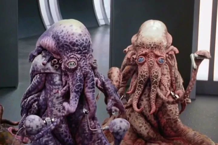 章鱼智商有多可怕,章鱼是外星生物吗西瓜视频