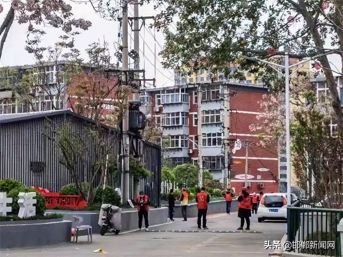 这个社区有支“宝藏”志愿者团队