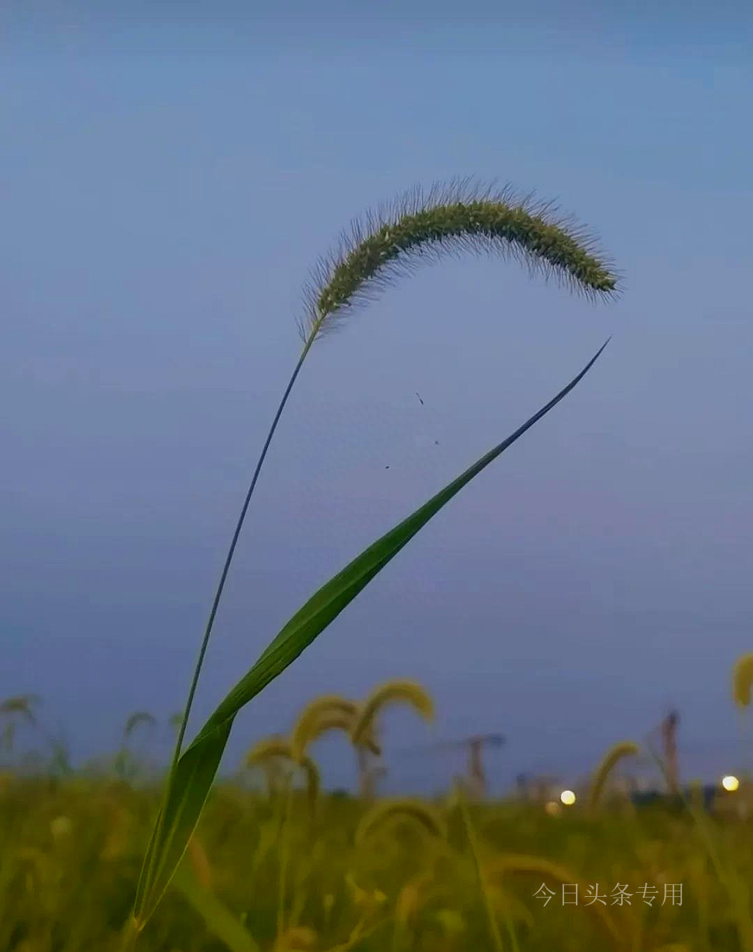 如果不能帮助他人就管好自己,自己的孩子不要去替别人养孩子