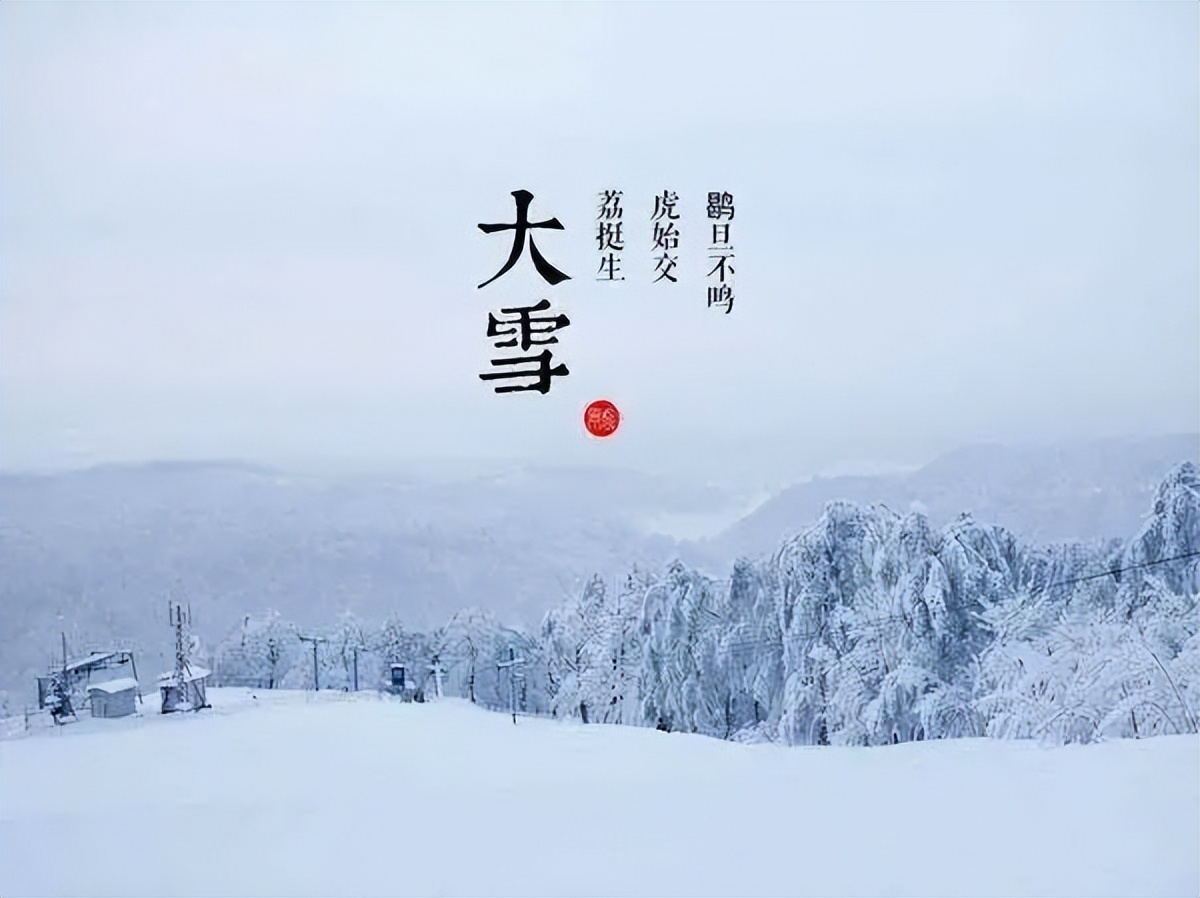 #草木有趣|雪里开花到春晚，不是寻常儿女花