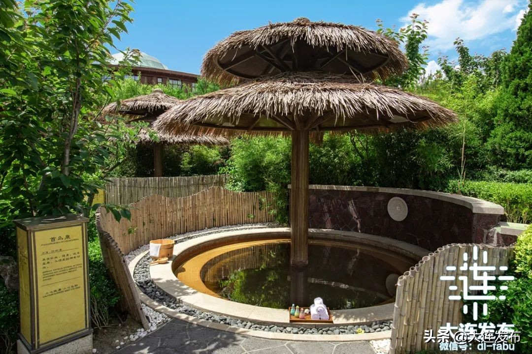 大连端午节一日游好玩的地方推荐,端午旅游景点大连