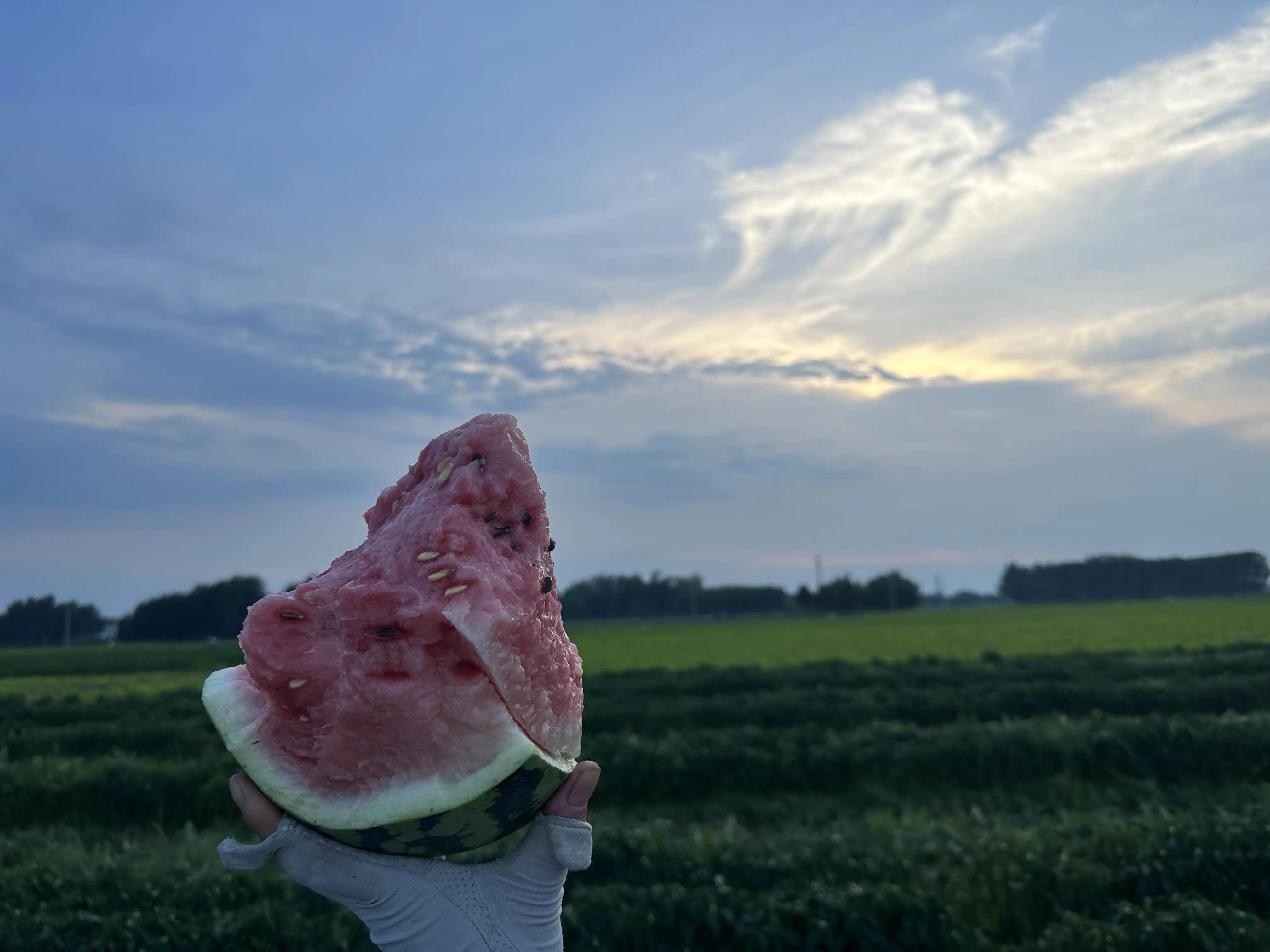 田园风光的古诗,田园风光纯音乐