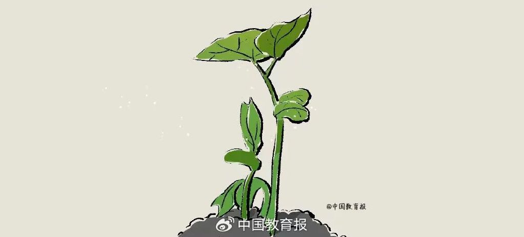 给老师做教师节礼物又简单又好看,快到教师节了该给老师做什么礼物