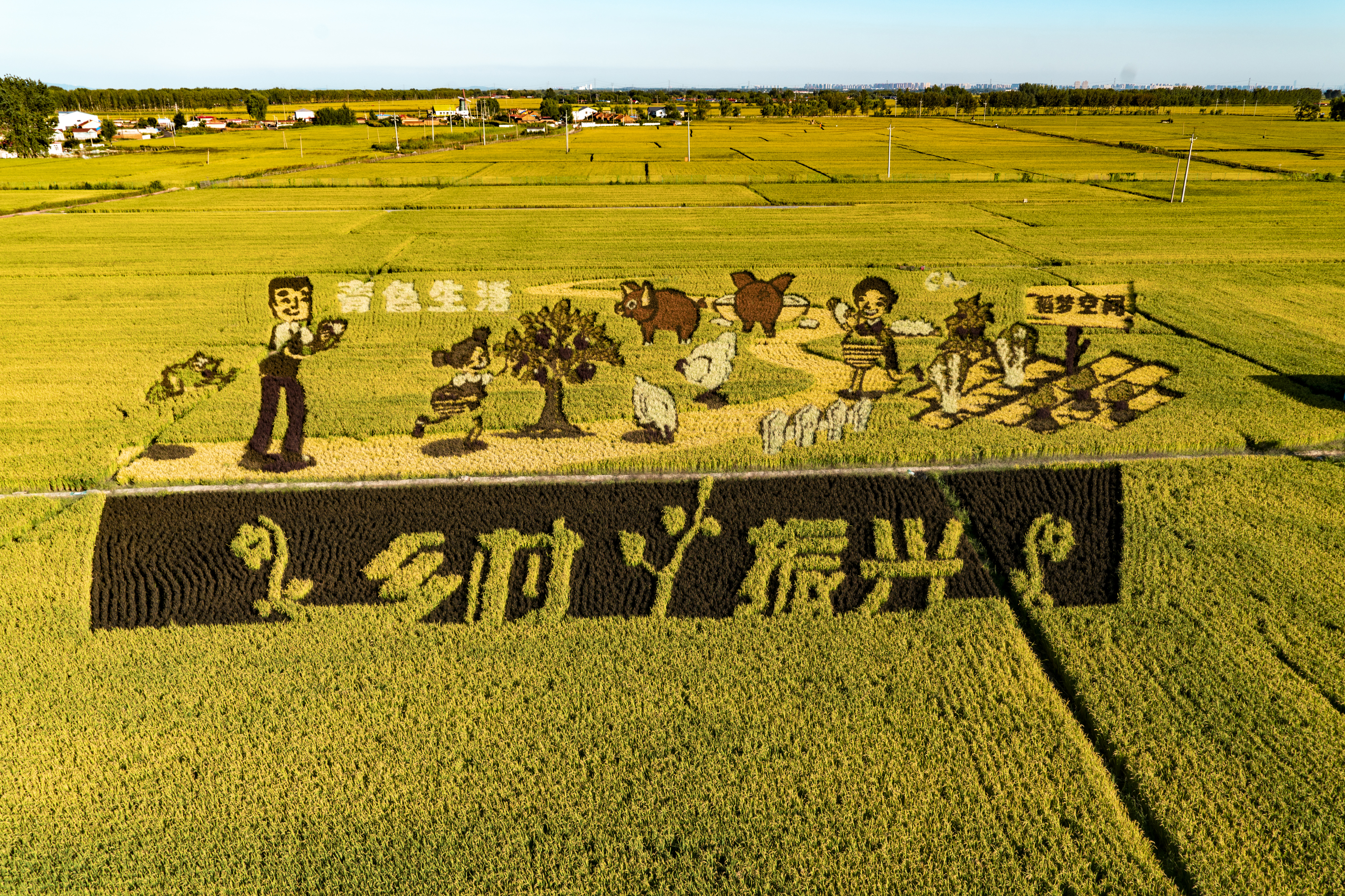 沈阳市稻梦空间,沈阳稻梦空间附近农家院