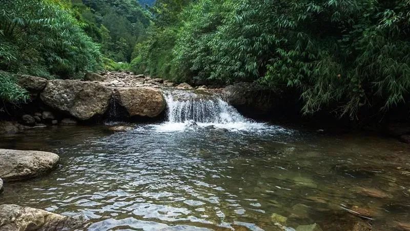 1.5h刹拢！被誉为川版“花城”，这个宝藏好耍地美得不像话