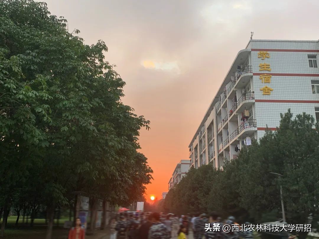 【“研”途风景|第6期】突然发现的瞬间