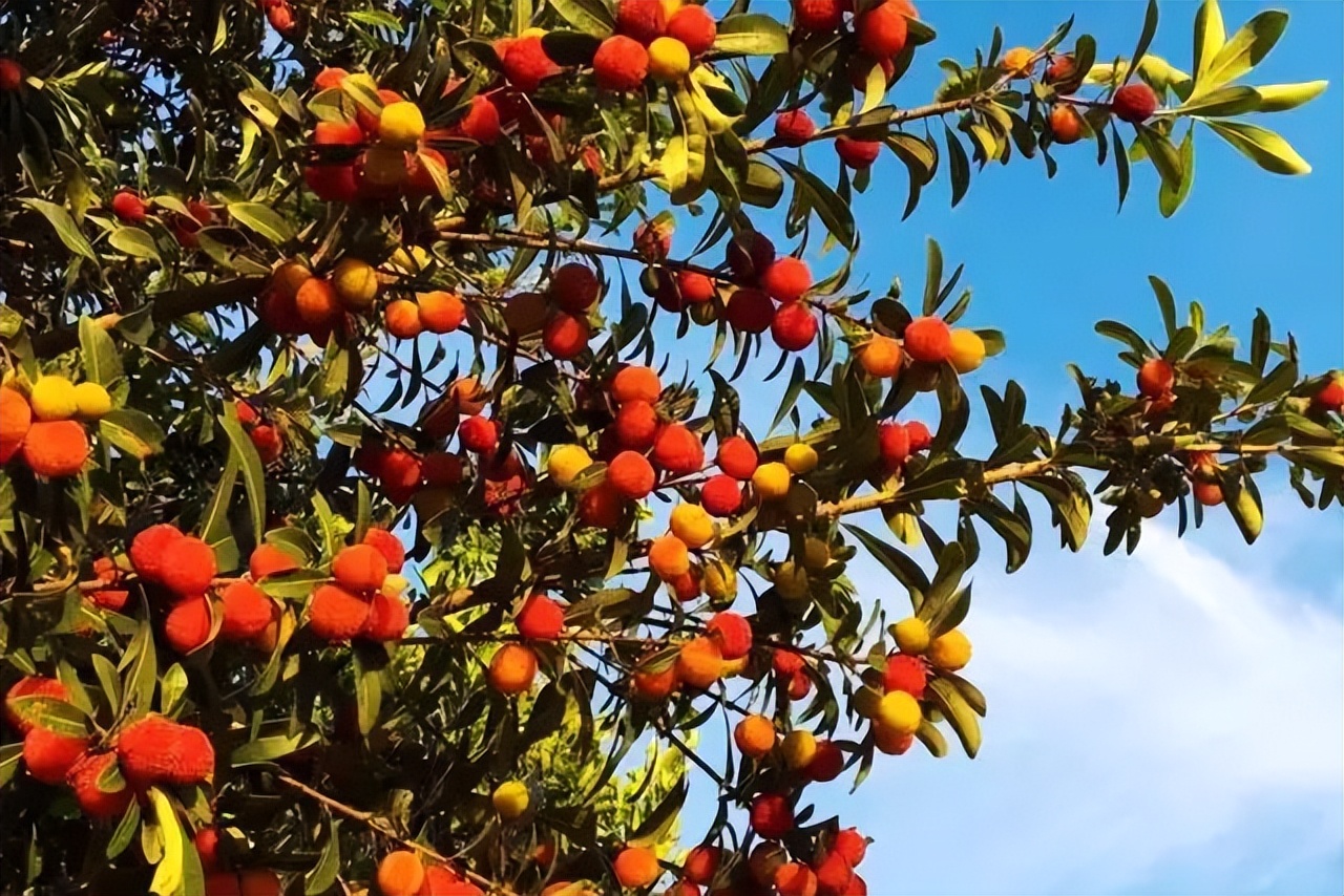 杭州出发2h,睡进千岛湖畔6家美宿，避开人群赏湖景山色丨南方民宿
