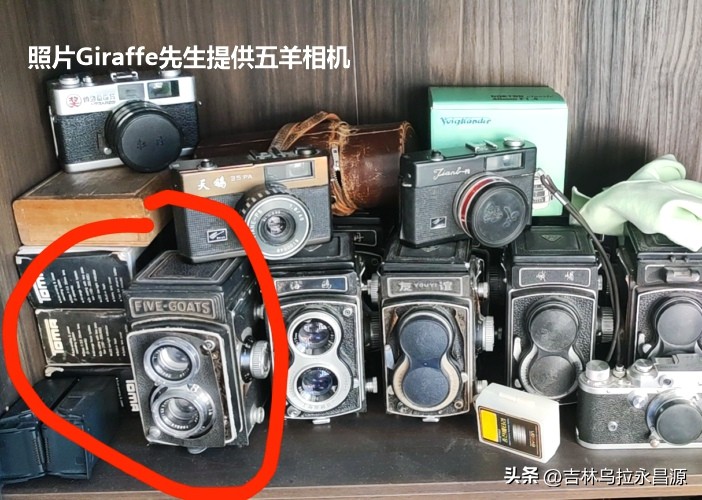 吉林市曾生产过一款“梅花鹿牌”照相机，竟成为收藏界的名品